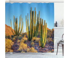 Mountain Cactus Photo Shower Curtain