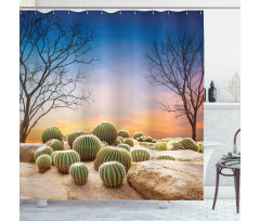 Cactus Balls on Mountain Shower Curtain