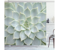 Cactus Flowers Photo Shower Curtain