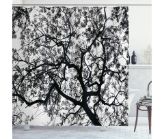 Spooky Black Tree Branch Shower Curtain