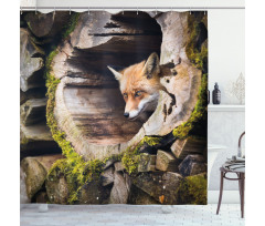 Nature Wild Fox Forest Shower Curtain