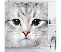 Face of a Domestic Kitty Shower Curtain