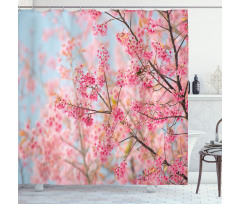 Japanese Sakura Cherry Shower Curtain