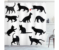 Red Ball Animal Pet Kittens Shower Curtain