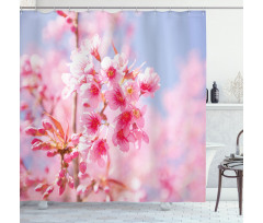 Sakura Blossom Branches Shower Curtain