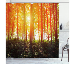 Foggy Forest Scenery Shower Curtain