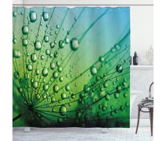 Photo of Dandelion Seeds Shower Curtain