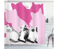 Baby Cats Kittens Shower Curtain