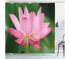 Lotus Lily Blossom Shower Curtain
