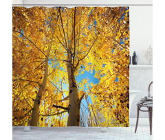Autumn Trees Leaf Forest Shower Curtain