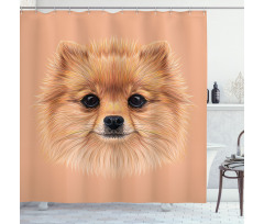 Vintage Pomerian Dog Shower Curtain