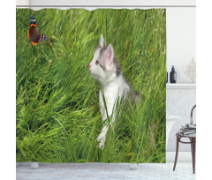 Cat and Butterfly Shower Curtain