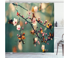 Pink Cherry Sakuras Shower Curtain