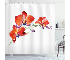 Orchid Branch Blooms Shower Curtain