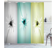 Different Daisy Flower Shower Curtain