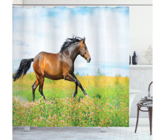 Horse Rural Flowers Shower Curtain