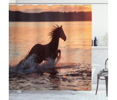 Horse Sea at Sunset Shower Curtain