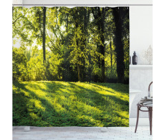 Rising Sun Beams Forest Shower Curtain