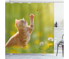 Ladybug Cats Dandelions Shower Curtain