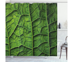 Forest Tree Leaf Texture Shower Curtain