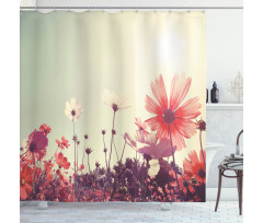 Vintage Cosmos Plant Sky Shower Curtain