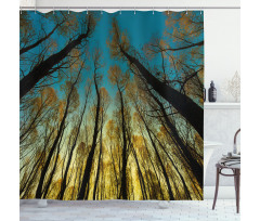 Trees Sunrise Pastoral Shower Curtain