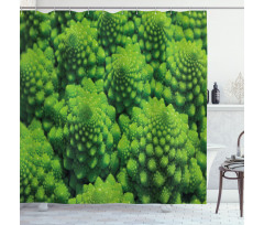 Broccoli Kale Foliage Shower Curtain