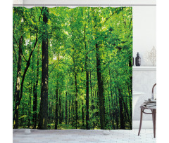 Woodland Tree Forest Sun Shower Curtain