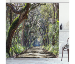 Road in Forest Carolina Shower Curtain