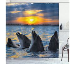 Bottle Nosed Dolphins Shower Curtain
