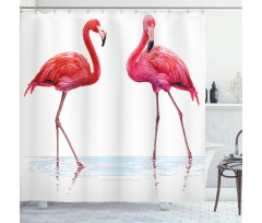 Exotic Flamingos on Sea Shower Curtain