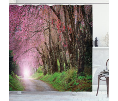 Park in Chiang Mai Shower Curtain