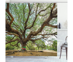 Big Rain Tree Thailand Shower Curtain