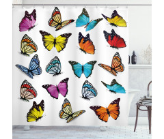 Butterflies Composition Shower Curtain