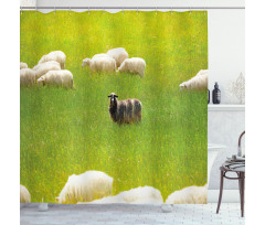 Black Sheep White Goats Shower Curtain