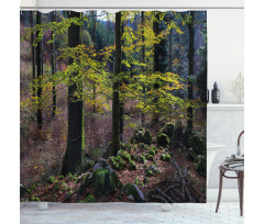 Trees Autumn Wilderness Shower Curtain