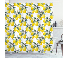 Summer Season Fruits Shower Curtain