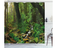 Rainforest Trees Nepal Shower Curtain
