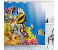 Coral Colony on Reef Top Shower Curtain