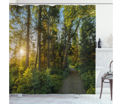 National Park Trees Path Shower Curtain