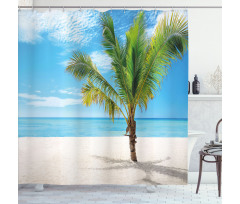 Coconut Palm at Beach Shower Curtain