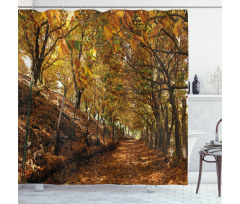 Autumn Foliage Forest Shower Curtain