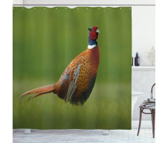 Pheasant Long Tail Meadow Shower Curtain