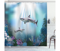 Sharks Coral Aquatic Shower Curtain