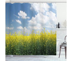 Rapeseed Field Germany Shower Curtain