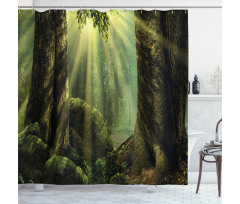 Sunbeam Moss Tree Bodies Shower Curtain