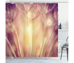 Dandelion Petals Spring Shower Curtain