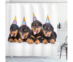 Birthday Dogs Hats Shower Curtain