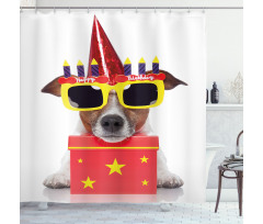 Party Dog Sunglasses Shower Curtain