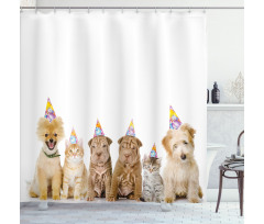 Dogs Cats at a Party Shower Curtain